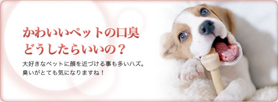 かわいいペットの口臭どうしたらいいの？大好きなペットに顔を近づける事も多いハズ。臭いがとても気になりますね！