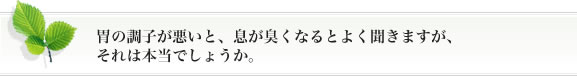 胃の調子が悪いと、息が臭くなるとよく聞きますが、それは本当でしょうか。