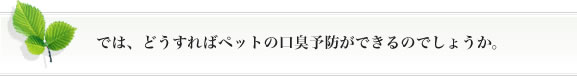 では、どうすればペットの口臭予防ができるのでしょうか。