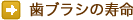 歯ブラシの寿命