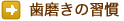 歯磨きの習慣